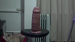 big dildo in my ass